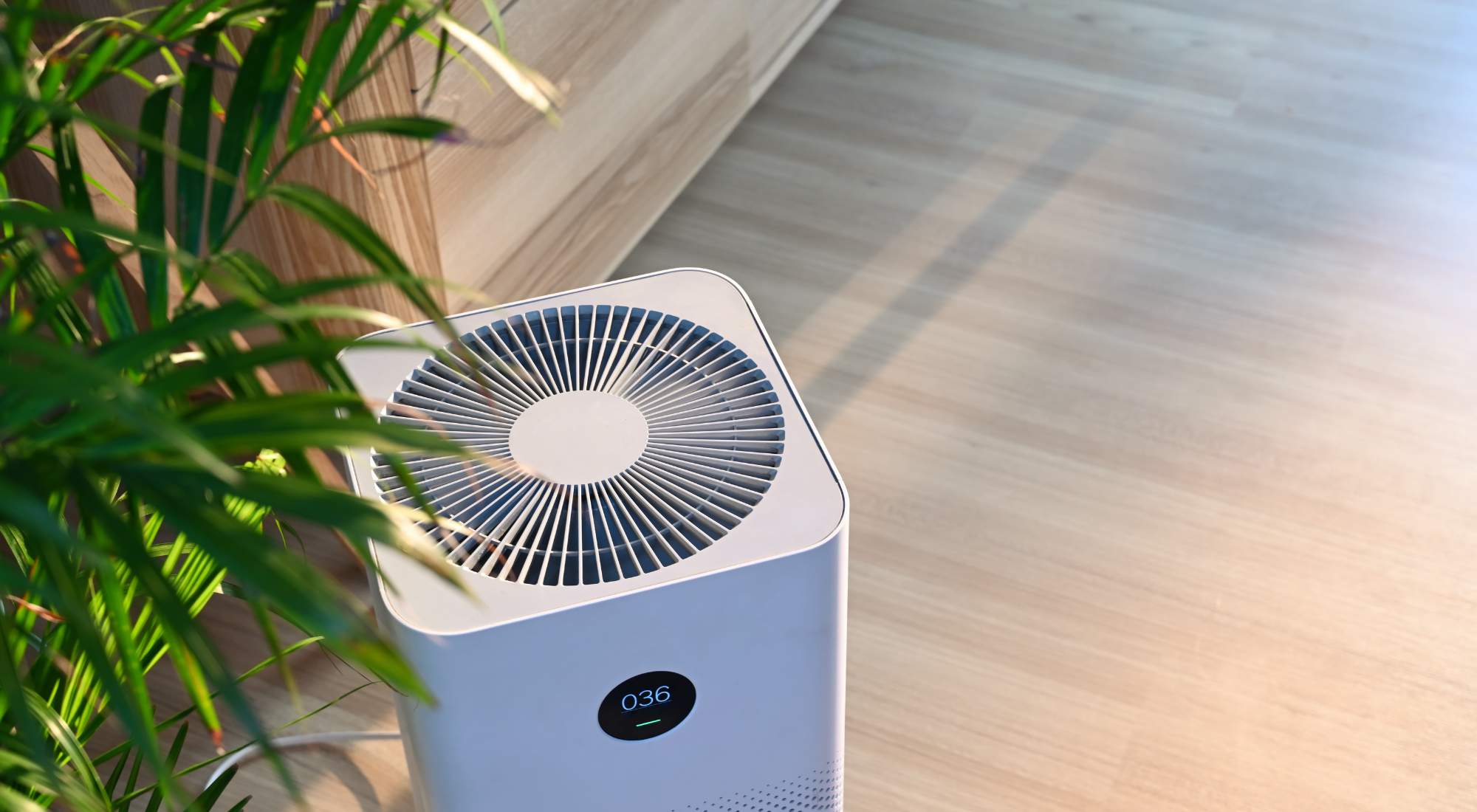 do air purifiers eliminate odors