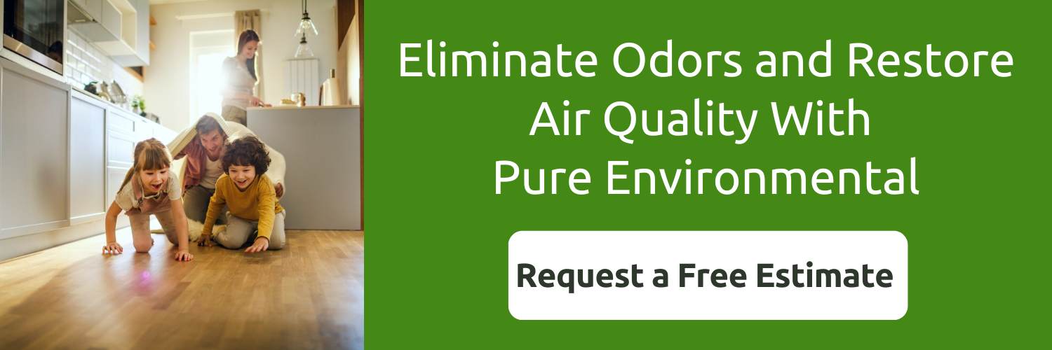 do air purifiers get rid of musty smells