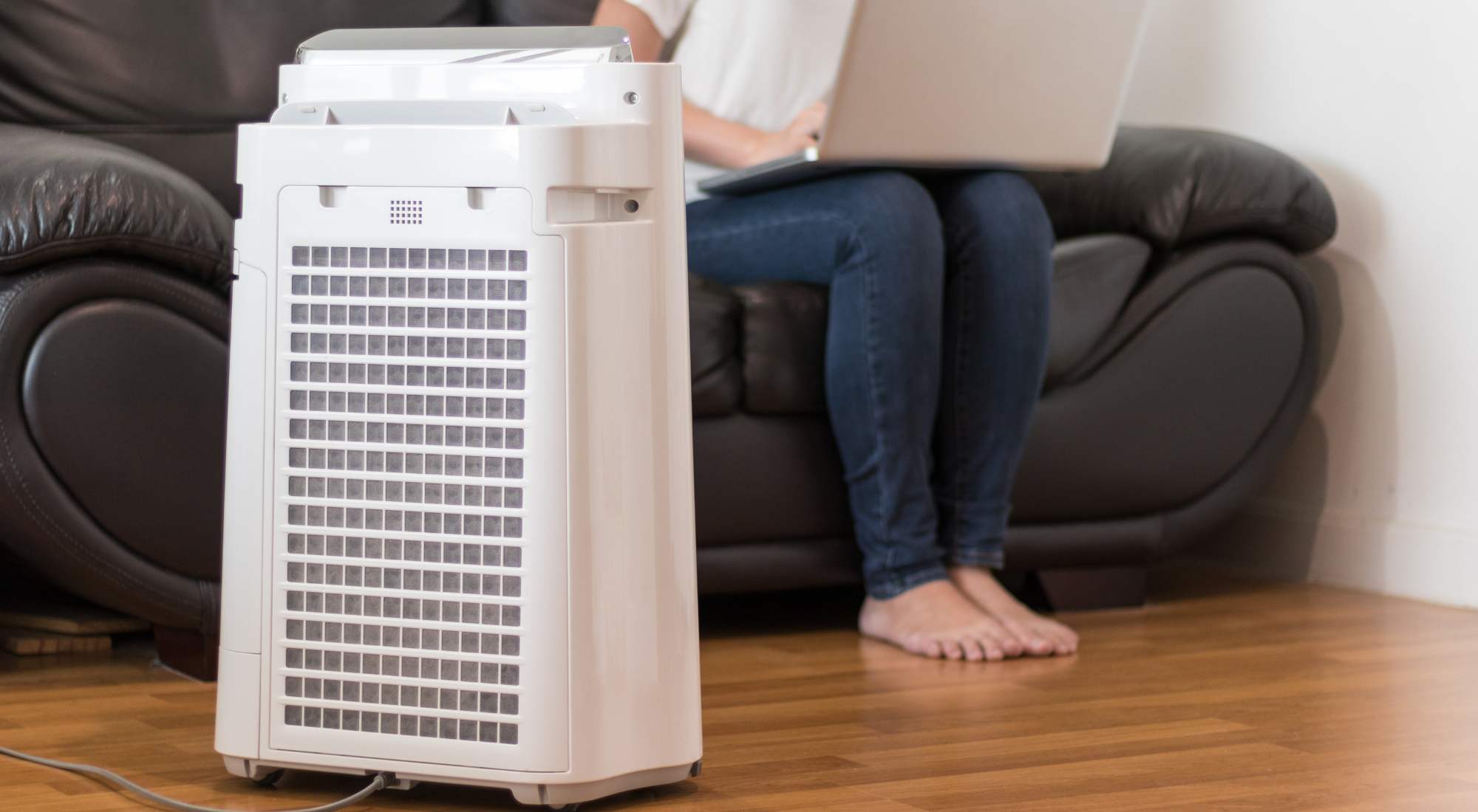 do air purifiers get rid of smells