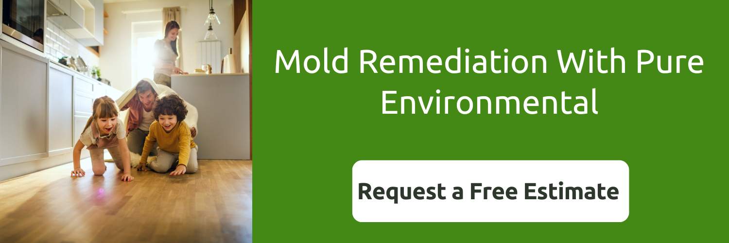 can mold grow on plastic