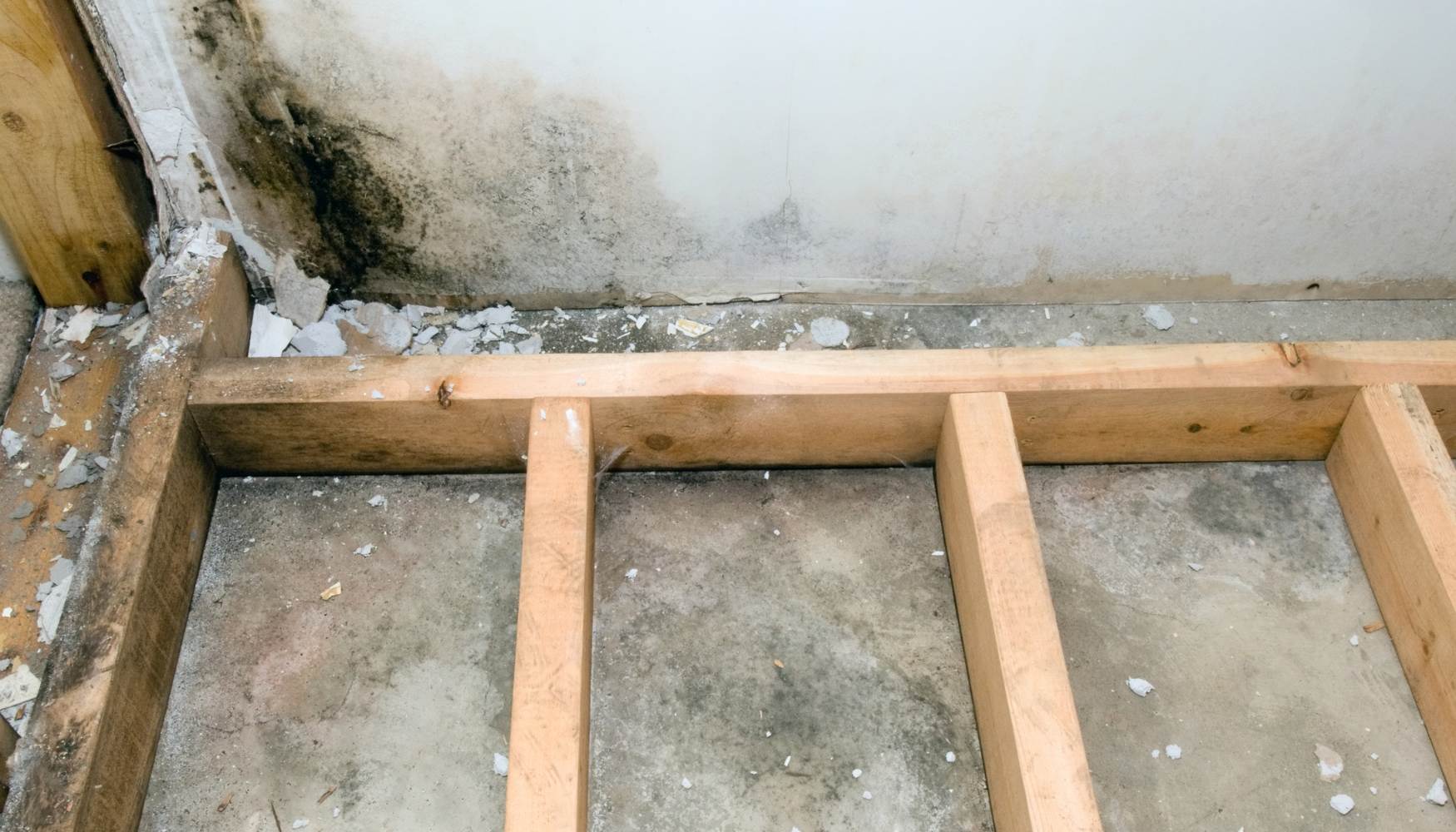 how to remove mold from basement wall