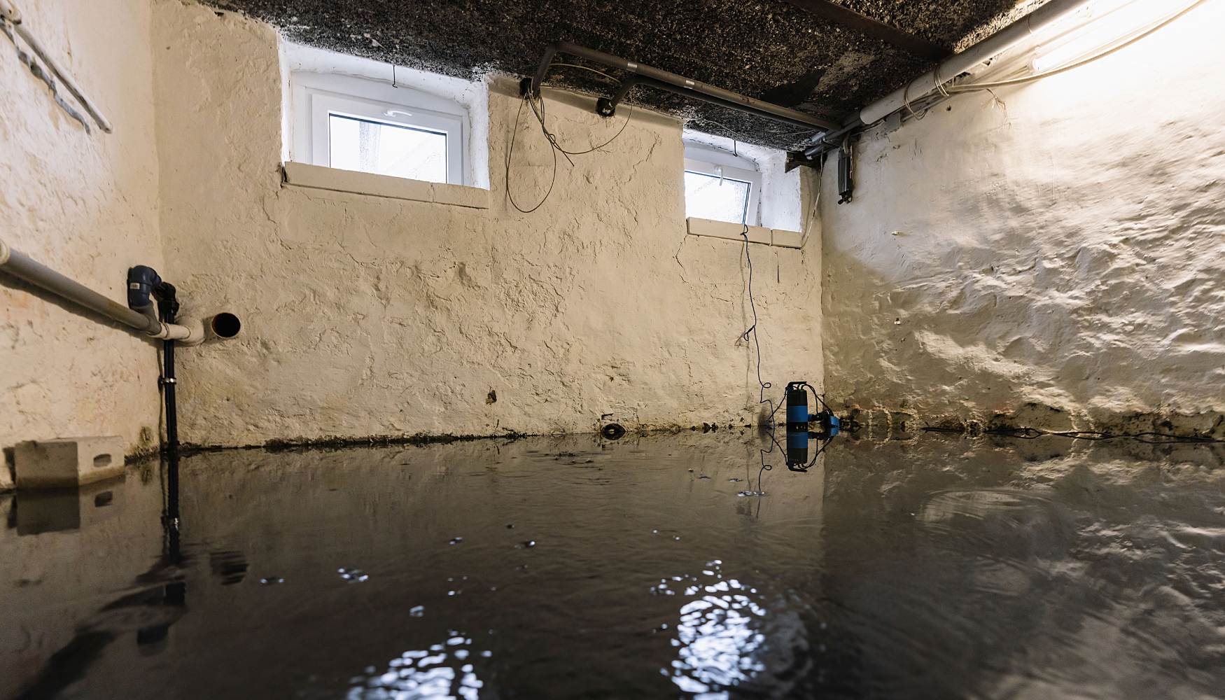 how to remove mold from concrete basement walls