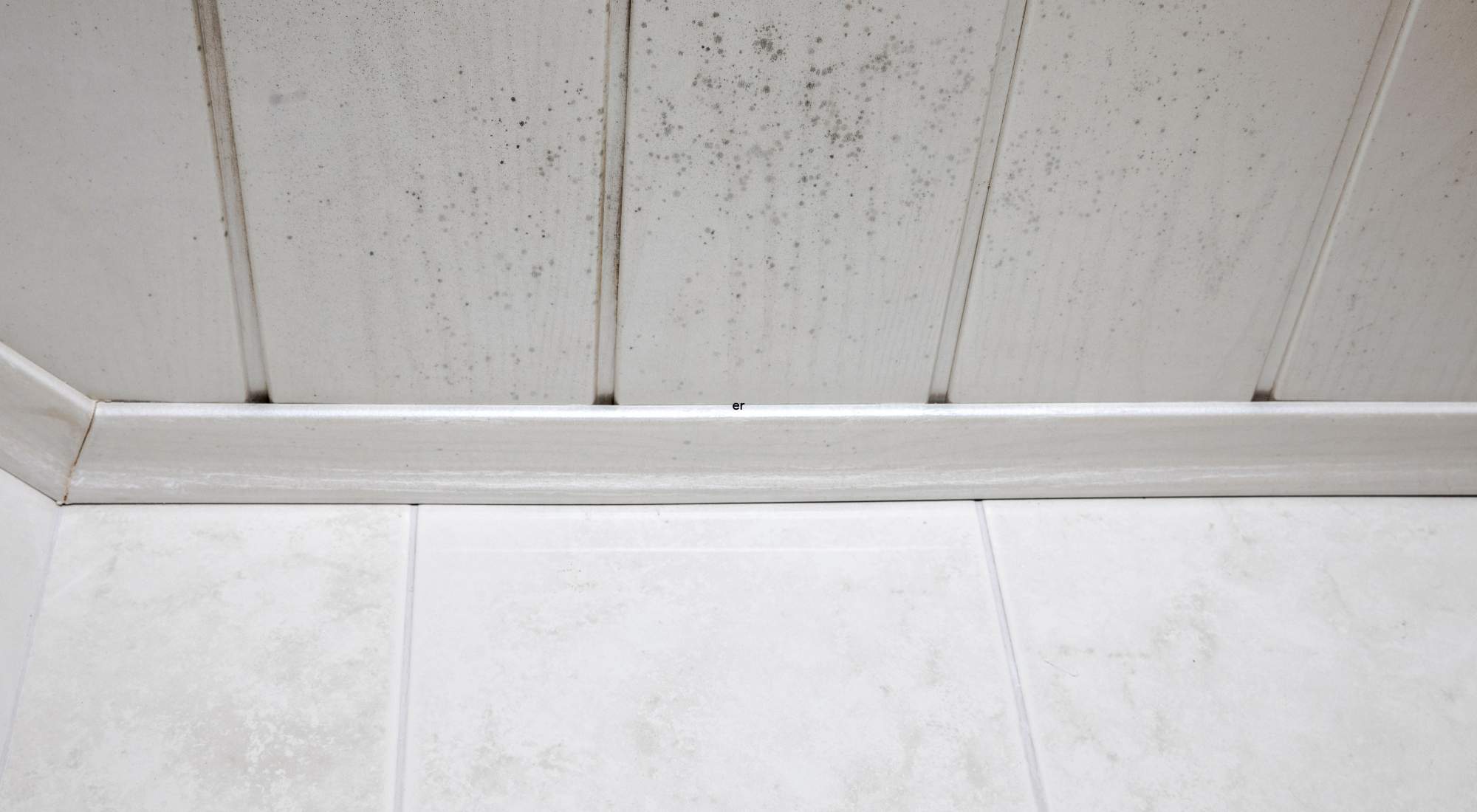mold in a house when to walk away