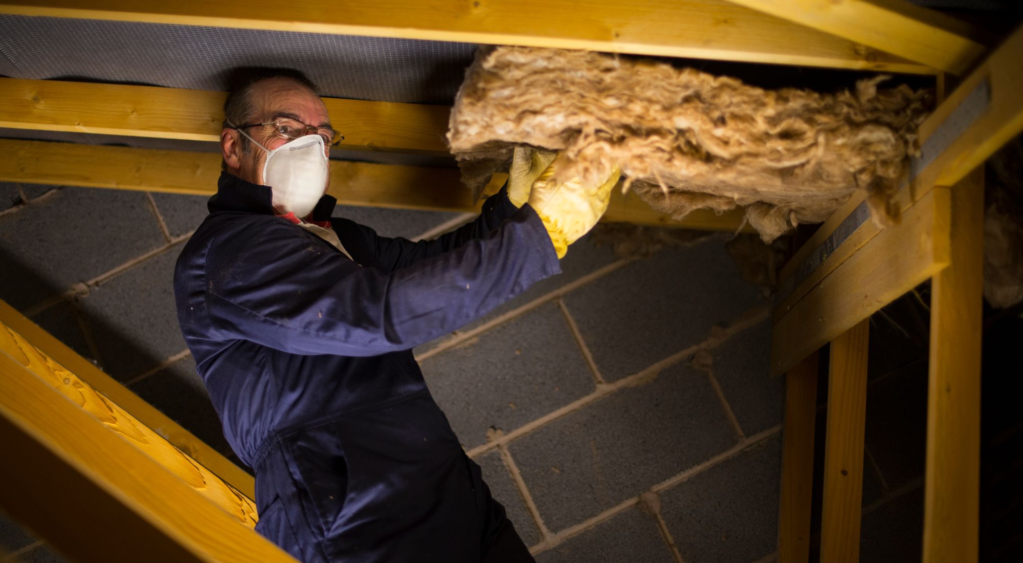 attic cleanup and decontamination