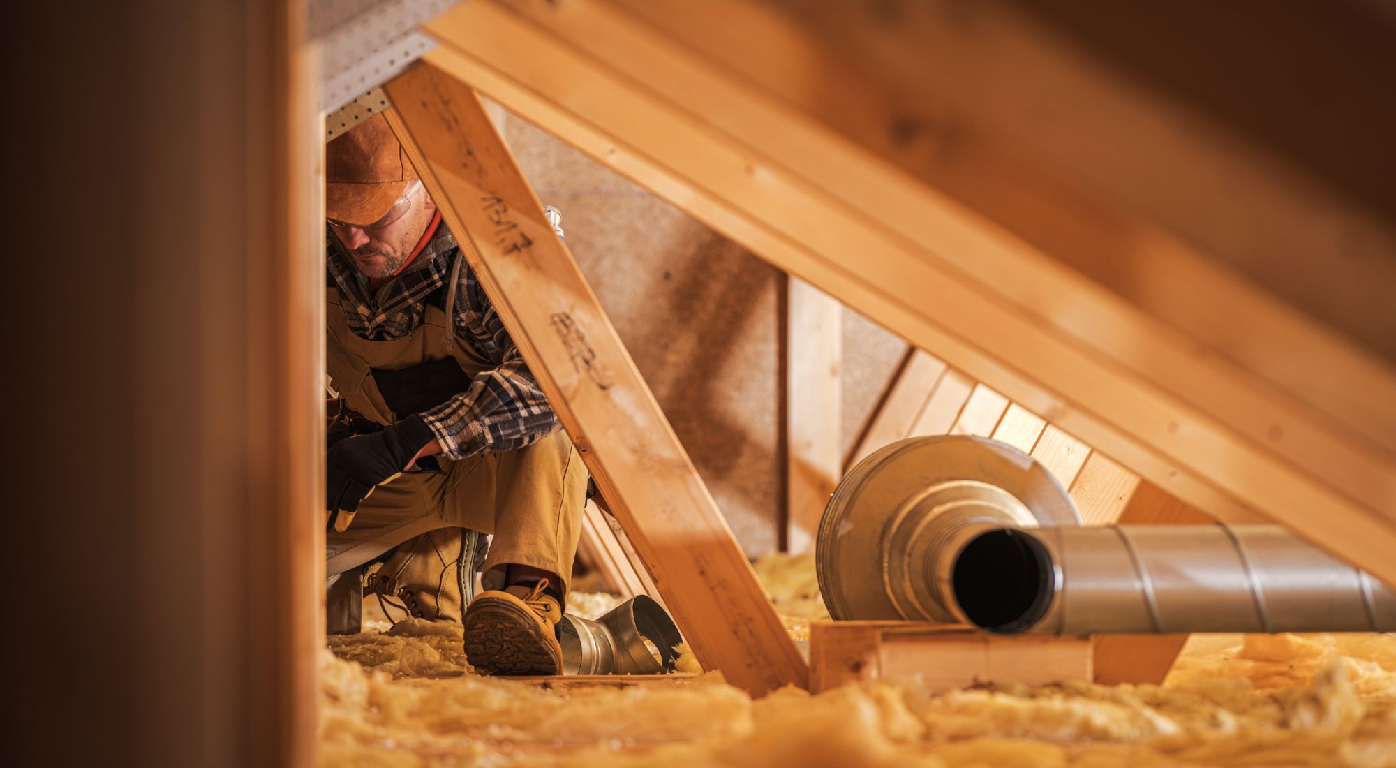 attic cleanup and decontamination