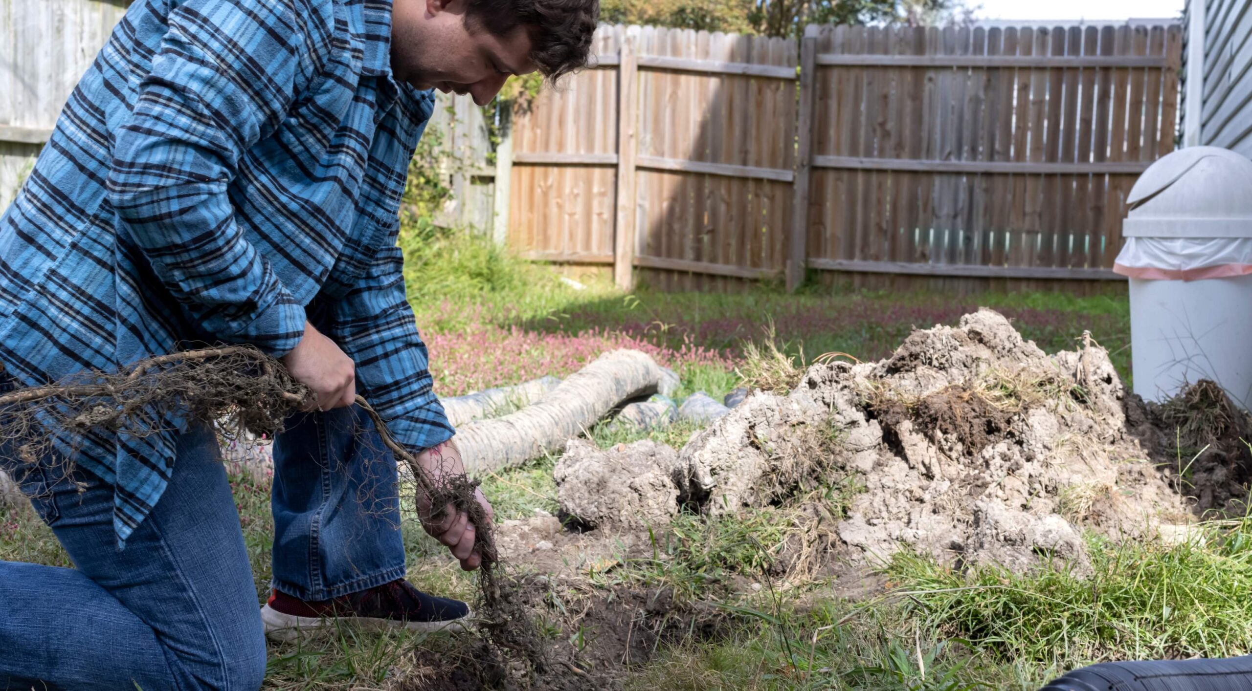 sewer backup