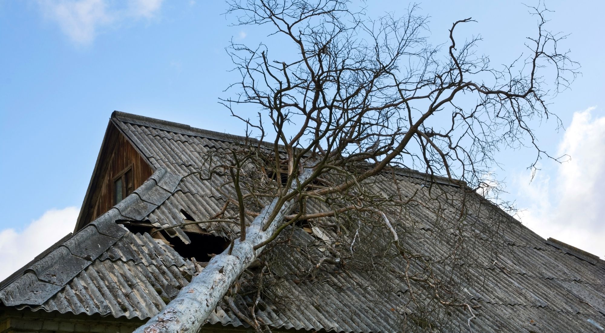 what to do after storm damage