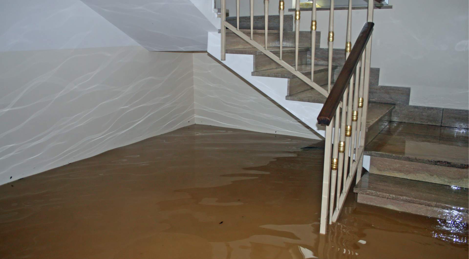 what to do if your basement floods