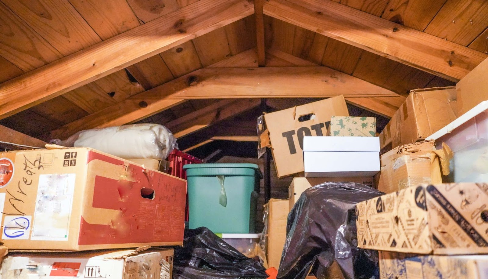 how to get rid of mold in attic