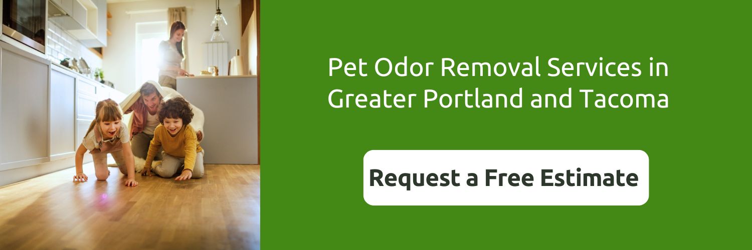 how to get rid of pet odor in house