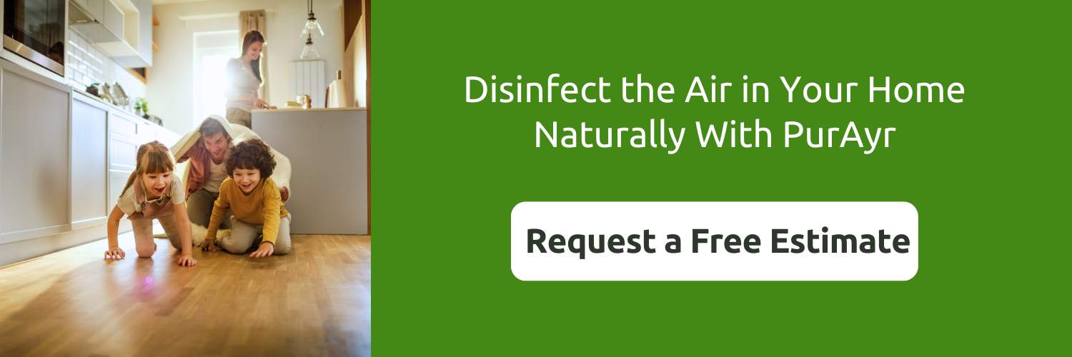 disinfect the air in your home