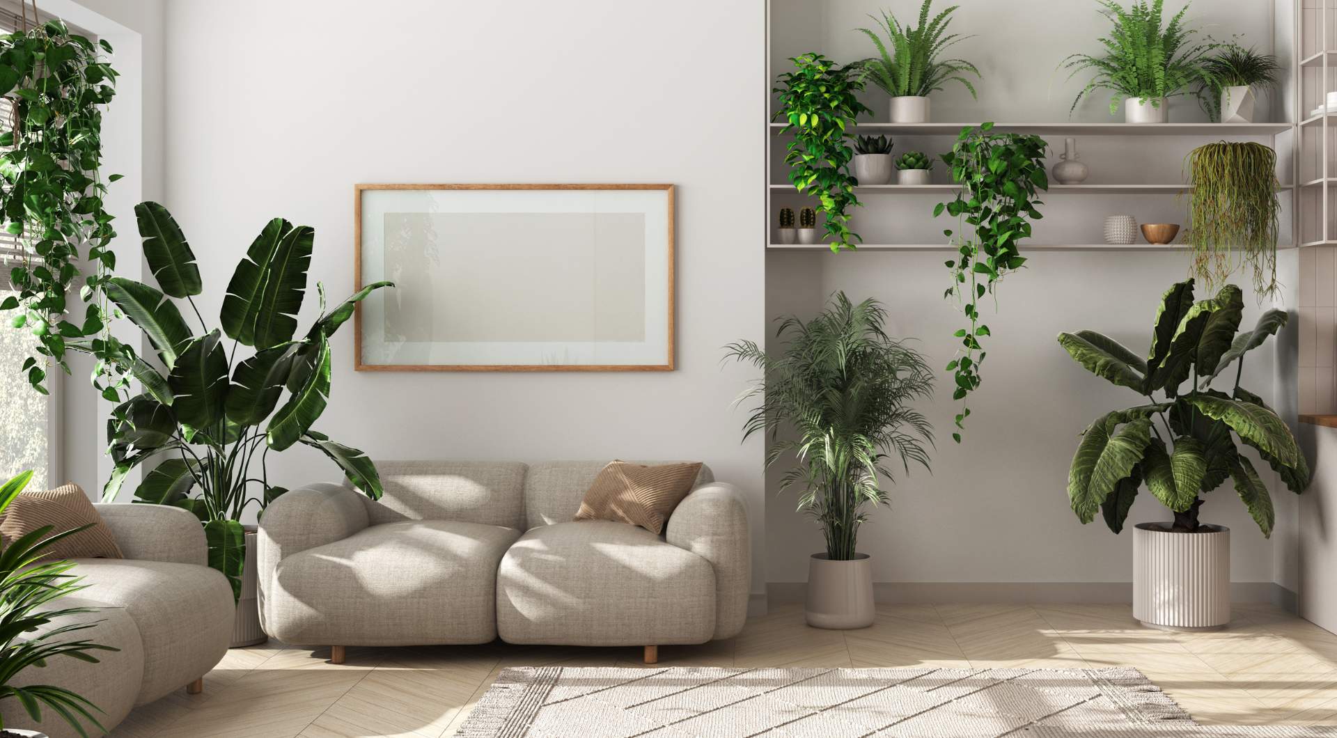 how to disinfect the air in your home naturally