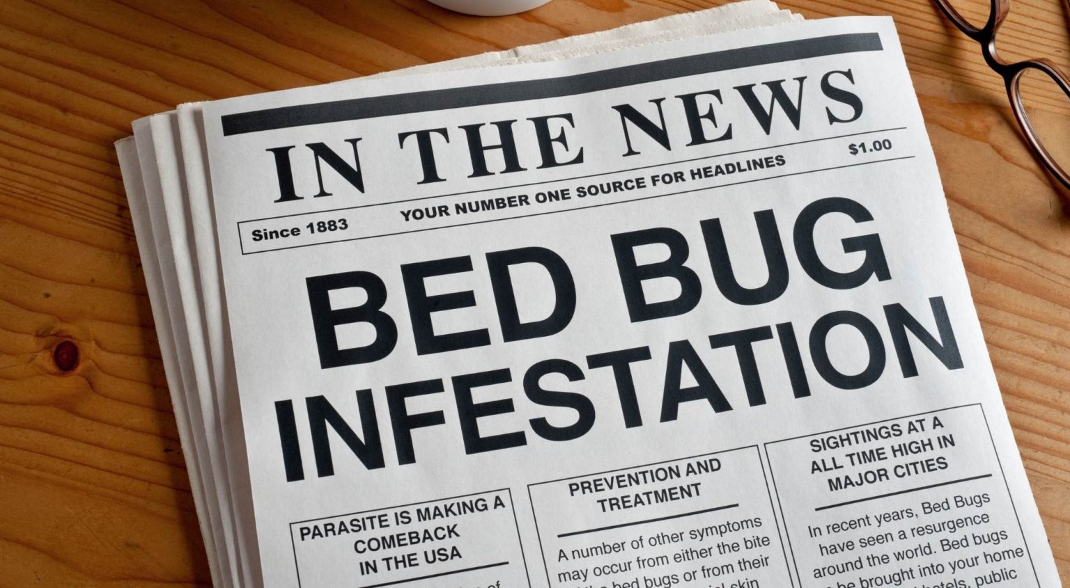 How Do You Get Bed Bugs Out of Hiding? Pure Environmental