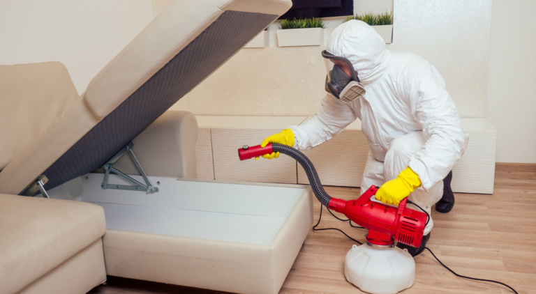 Heat Treatment Vs Chemical For Bed Bugs Which Is Best Pure Environmental 9281