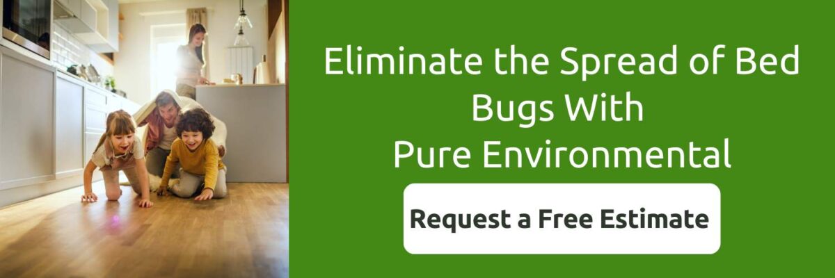 how-fast-do-bed-bugs-spread-pure-environmental